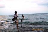 Stilt fishermen in Weligama, Sri Lanka
